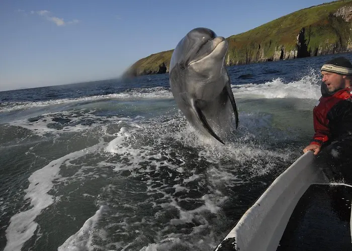 丁格尔湾大酒店 酒店 3*