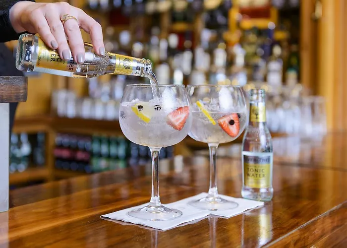 丁格尔湾大酒店 酒店 丁格尔